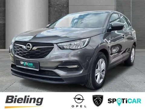 Used OPEL GRANDLAND Petrol 2021 Ad 