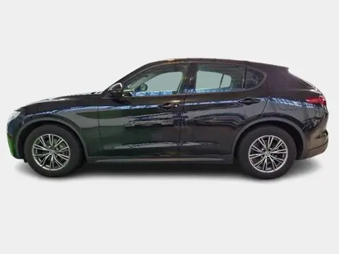 Used ALFA ROMEO STELVIO Diesel 2019 Ad 