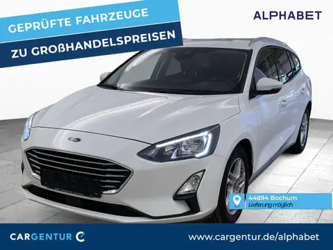 Annonce FORD FOCUS Diesel 2021 d'occasion 