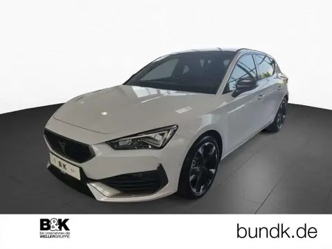 Used CUPRA LEON Petrol 2024 Ad 