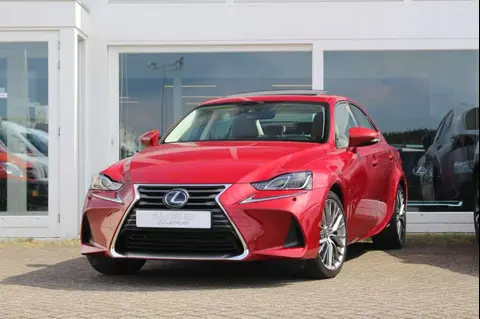 Used LEXUS IS Hybrid 2019 Ad 