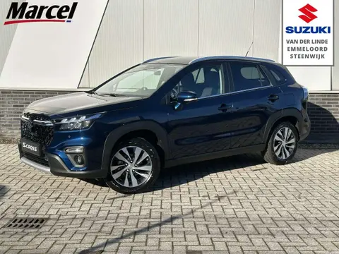 Used SUZUKI S-CROSS Hybrid 2024 Ad 