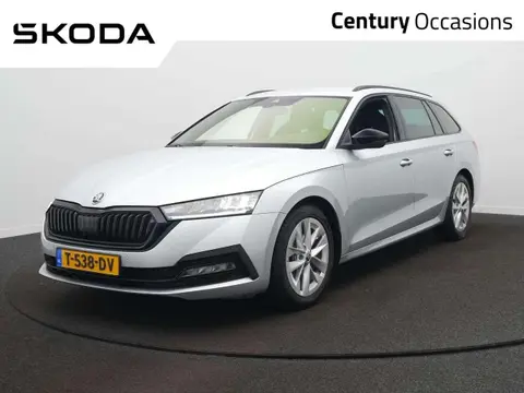 Used SKODA OCTAVIA Petrol 2023 Ad 