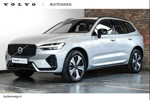 Used VOLVO XC60 Hybrid 2024 Ad 