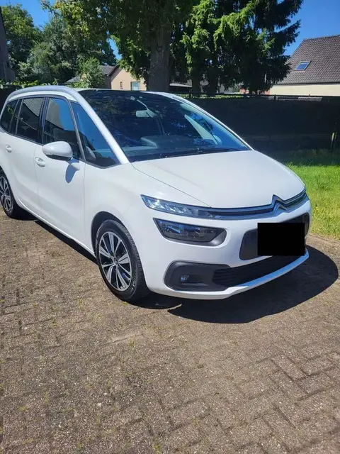 Annonce CITROEN C4 Essence 2019 d'occasion 