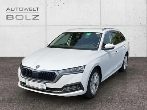 Annonce SKODA OCTAVIA Diesel 2021 d'occasion 