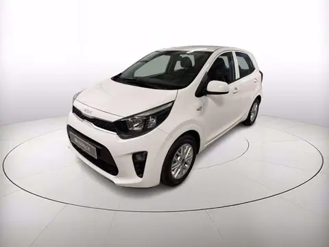 Annonce KIA PICANTO GPL 2024 d'occasion 