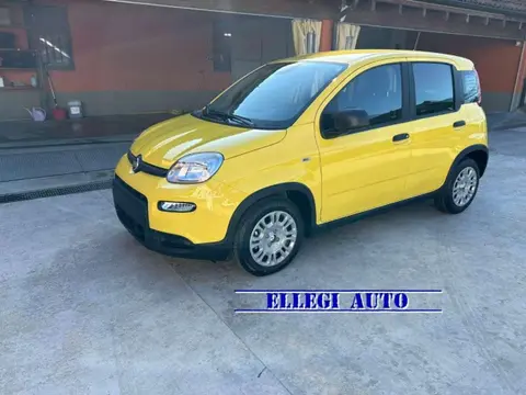 Annonce FIAT PANDA Hybride 2024 d'occasion 