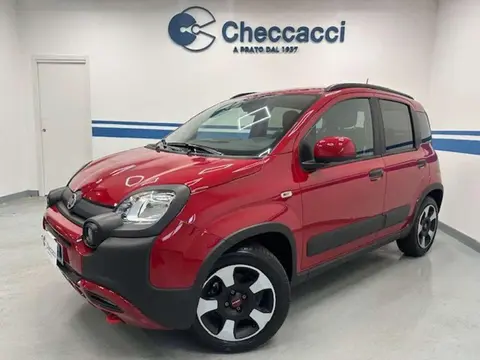 Annonce FIAT PANDA Hybride 2024 d'occasion 