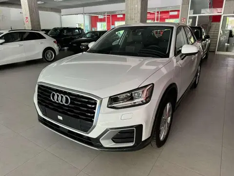 Used AUDI Q2 Diesel 2019 Ad 