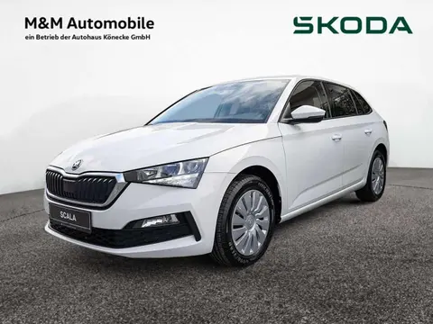 Annonce SKODA SCALA Essence 2021 d'occasion 