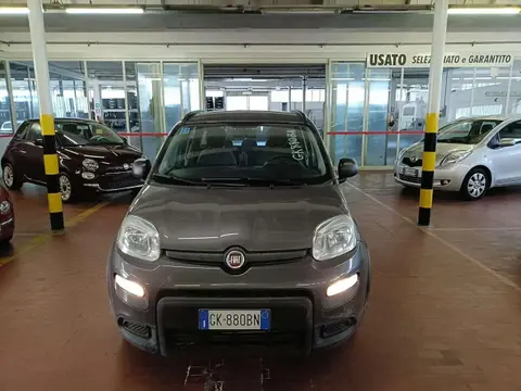 Used FIAT PANDA Hybrid 2022 Ad 