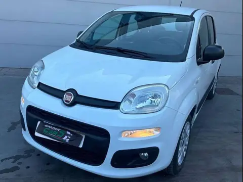 Annonce FIAT PANDA GPL 2017 d'occasion 