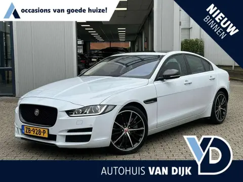 Used JAGUAR XE Petrol 2015 Ad 