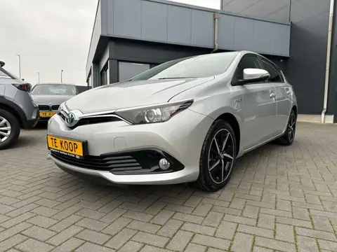 Annonce TOYOTA AURIS Hybride 2017 d'occasion 