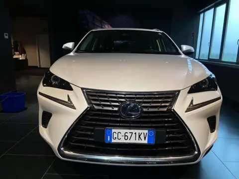 Used LEXUS NX Hybrid 2020 Ad 