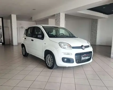 Annonce FIAT PANDA Diesel 2018 d'occasion 