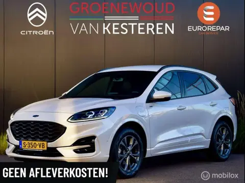 Annonce FORD KUGA Hybride 2022 d'occasion 