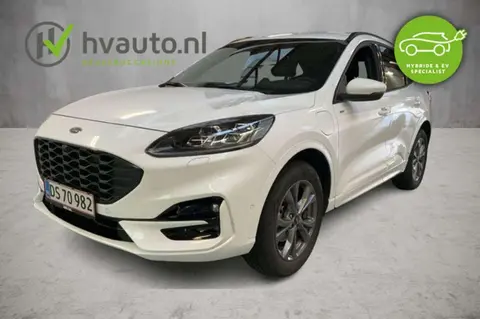 Annonce FORD KUGA Hybride 2023 d'occasion 