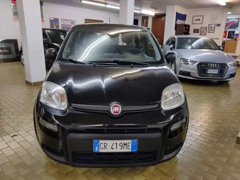 Annonce FIAT PANDA Hybride 2023 d'occasion 