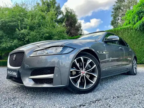 Annonce JAGUAR XF Diesel 2016 d'occasion 