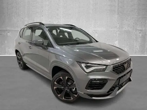 Annonce CUPRA ATECA Essence 2024 d'occasion 