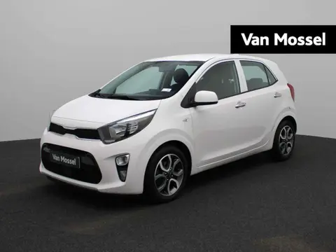 Annonce KIA PICANTO Essence 2021 d'occasion 