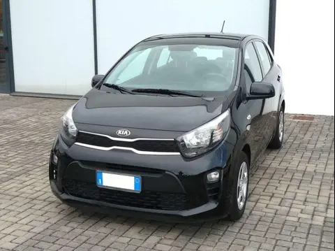 Used KIA PICANTO Petrol 2019 Ad 