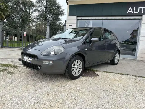 Used FIAT PUNTO Petrol 2017 Ad 