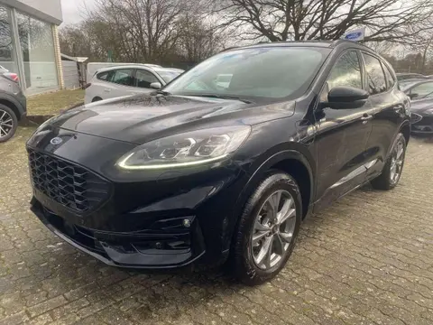 Annonce FORD KUGA Hybride 2024 d'occasion 