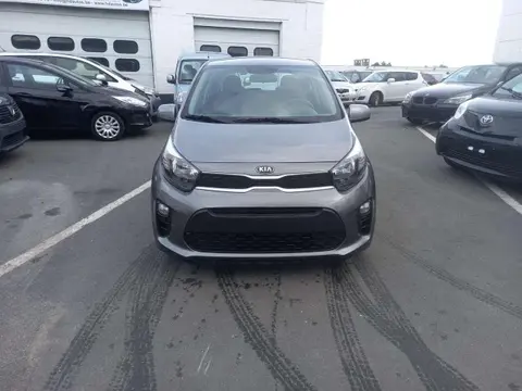 Used KIA PICANTO Petrol 2021 Ad 