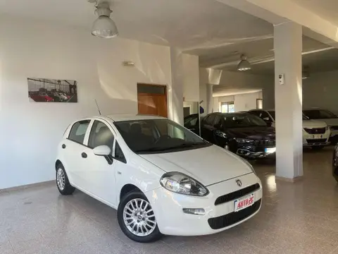 Annonce FIAT PUNTO Diesel 2019 d'occasion 