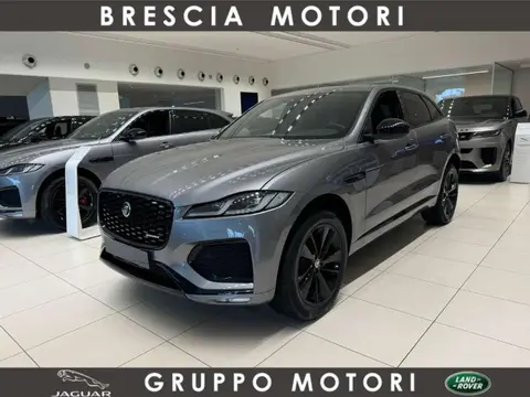 Used JAGUAR F-PACE Hybrid 2024 Ad 