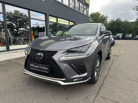 Used LEXUS NX Petrol 2019 Ad 