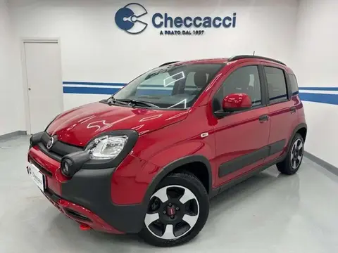 Used FIAT PANDA Hybrid 2023 Ad 