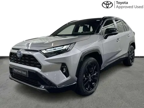 Used TOYOTA RAV4 Hybrid 2023 Ad 