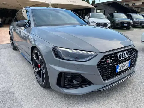 Used AUDI RS4 Petrol 2020 Ad 