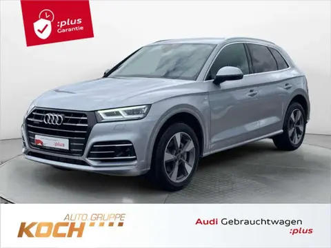 Used AUDI Q5 Hybrid 2021 Ad 