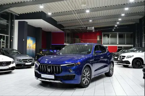 Used MASERATI LEVANTE Diesel 2021 Ad 