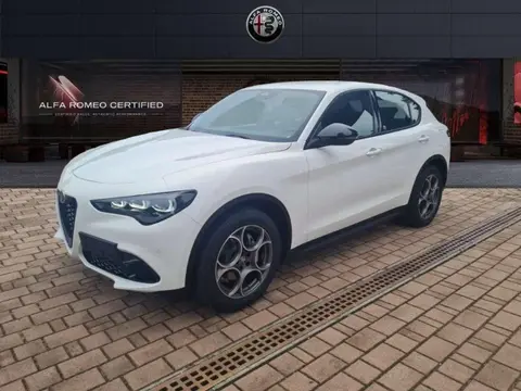 Annonce ALFA ROMEO STELVIO Diesel 2024 d'occasion 