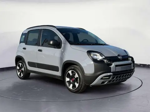 Annonce FIAT PANDA Hybride 2022 d'occasion 