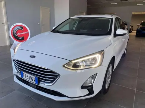 Used FORD FOCUS Diesel 2019 Ad 