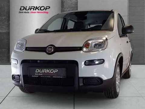 Annonce FIAT PANDA Essence 2024 d'occasion 