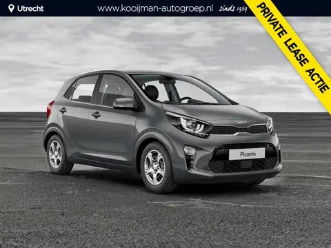 Annonce KIA PICANTO Essence 2024 d'occasion 