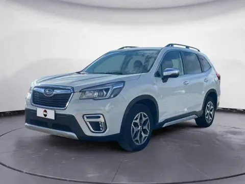 Used SUBARU FORESTER Hybrid 2021 Ad 