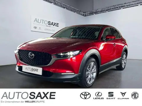 Annonce MAZDA CX-30 Essence 2023 d'occasion 