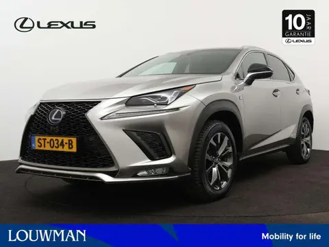 Used LEXUS NX Hybrid 2018 Ad 