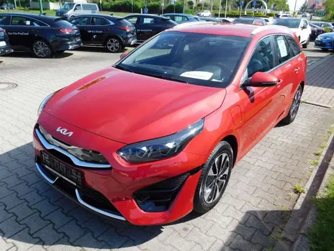 Annonce KIA CEED Hybride 2024 d'occasion 