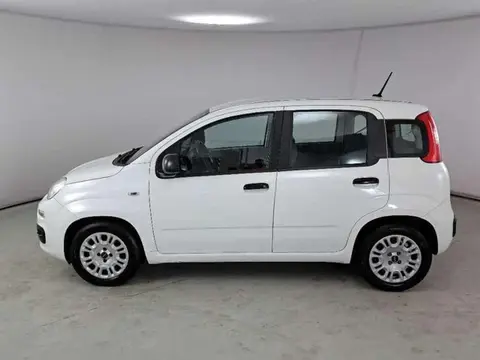 Annonce FIAT PANDA Hybride 2020 d'occasion 