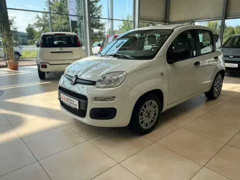 Used FIAT PANDA Petrol 2021 Ad 